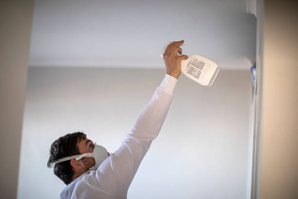 Best Certified Mold Removal  in North Eagle Butte, SD