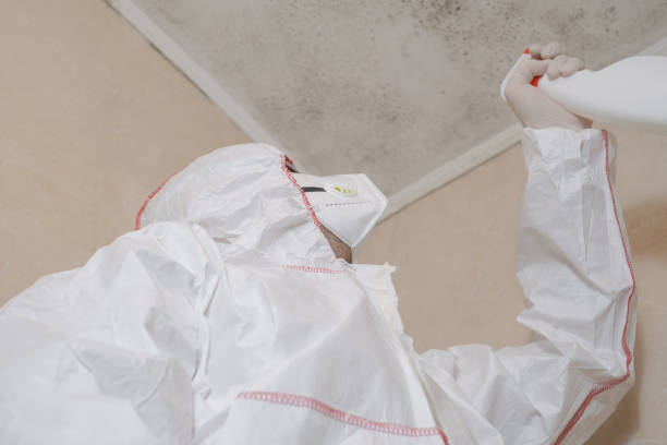 Best Mold Testing  in North Eagle Butte, SD