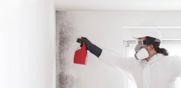 Best Emergency Mold Removal  in North Eagle Butte, SD