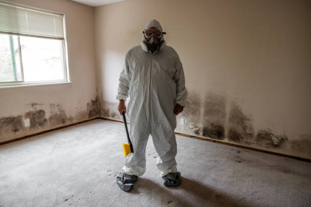 Best Black Mold Removal  in North Eagle Butte, SD
