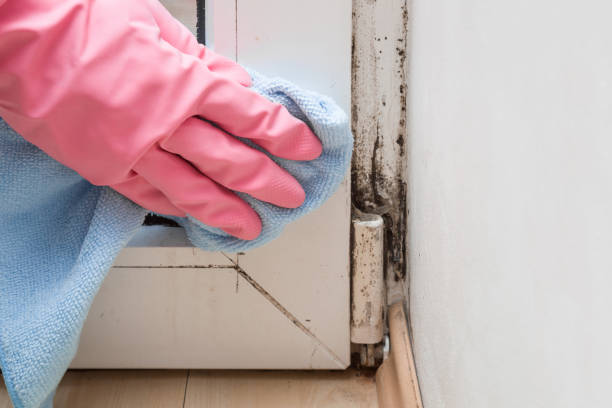 Best Mold Testing  in North Eagle Butte, SD